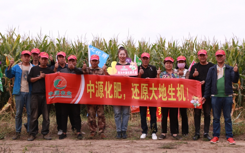齊齊哈爾市泰來縣泰來鎮豐田村